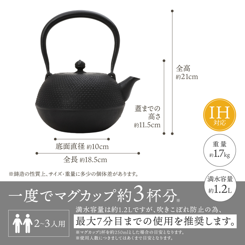 【3ヶ月以内発送予定】 南部鉄器　鉄瓶　寒梅あられ鉄瓶　～ARARE～　1.2L [BE001]