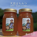 【ふるさと納税】合計1200g 天然蜂蜜 国産蜂蜜 非加熱 生はちみつ 岐阜県 美濃市産 春 (蜂蜜600g入りガラス瓶2本セット)A6　【 ハニー 調理 料理 味付け 甘味 百花蜜 深い味わい 自然の味 無添加 】