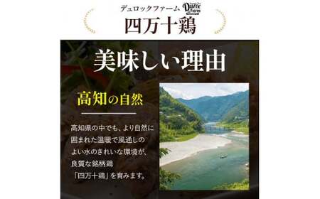 高知育ちの銘柄鶏 四万十鶏 もも肉 1kg 鶏もも 肉 冷凍 唐揚げ ／Adf-B29