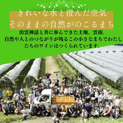 ふるさと納税 雲南市 シャルドネ ギフト包装 750ml×1本 辛口白ワイン |  | 01