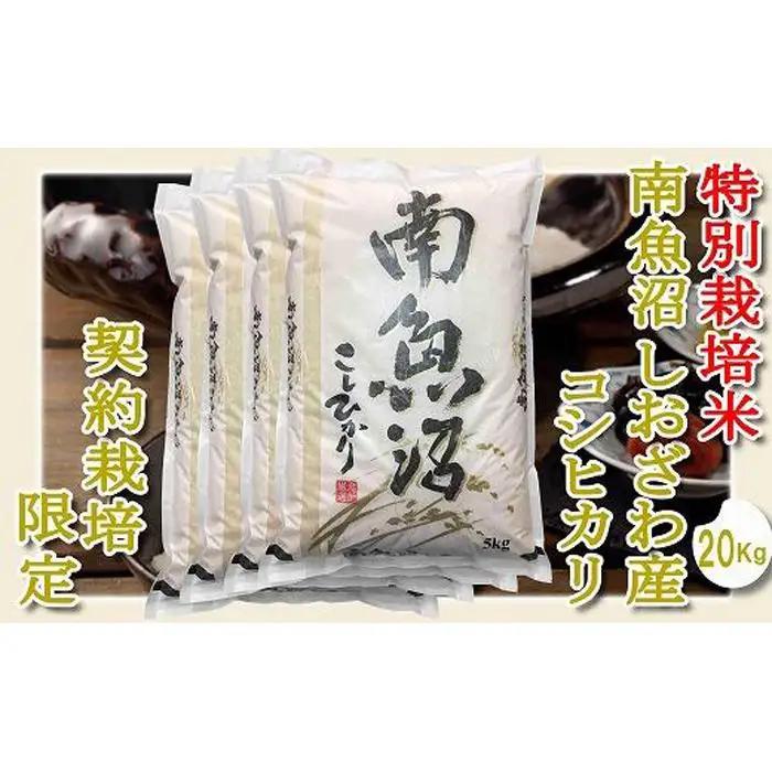 【令和7年産】【精米２０Kg】特別栽培 生産者限定  南魚沼しおざわ産コシヒカリ【銘柄米 ブランド米 精米 こしひかり コシヒカリ 魚沼産 新潟米 産地直送 お米 米 こめ コメ ご飯 御飯 ごはん】