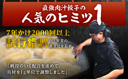 とよはし お試しサイズ『最強肉汁餃子』10個入り 簡易包装　新感覚！餃子