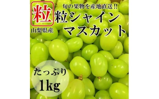 ＜訳あり＞山梨県山梨市産　シャインマスカット　粒　約1kg【1459681】