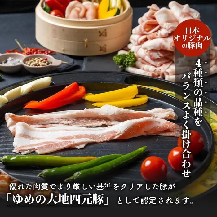 【北海道ブランド豚】「ゆめの大地」 バラエティセット（ロース200g×5P・バラ200g×5P）【2700901】