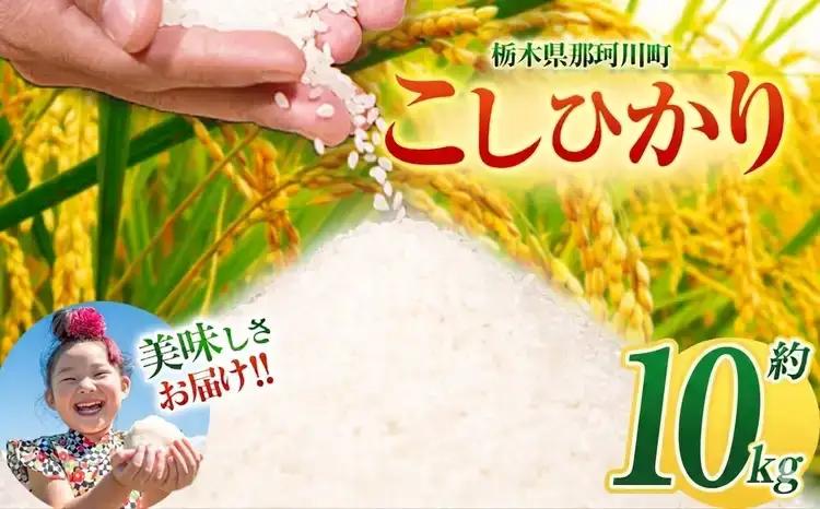 令和7年度産 コシヒカリ 約 10kg | 栃木県 那珂川町 送料無料