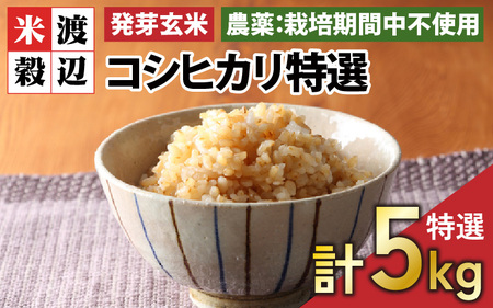 【令和7年産】【発芽玄米】コシヒカリ特選 真空パック5kg～玄米以上の栄養価と白米に近い柔らかさ～ 【無洗米 米 こしひかり 玄米 ギャバ GABA 特別栽培 食物繊維 栄養 真空パック ごはん ご飯 おいしい ふるさと納税米】 [B-2951]
