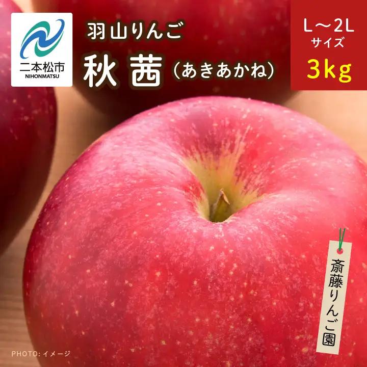 りんご《2026年10月下旬以降順次発送》羽山のりんご 秋茜L～2Lサイズ3kg りんご リンゴ 果物 フルーツ【斎藤りんご園】