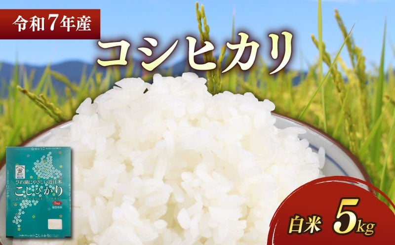 
            新米 令和7年 彦根産 コシヒカリ 5kg こしひかり お米 白米 精米 米 こめ おこめ コメ ご飯 ごはん コシヒカリ おすすめ 送料無料 彦根 ひこね 滋賀 
          