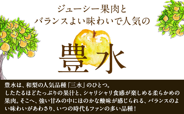 清田フルーツの豊水梨 約5kg(12-20玉前後) 《8月中旬-8月末頃出荷》  梨 なし 果物 フルーツ---sg_ckiyofruit_j8_25_13000_5kg---