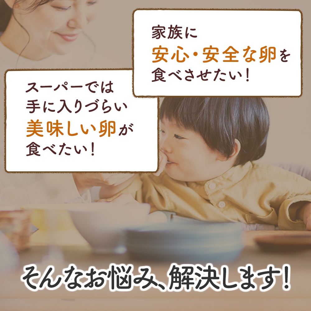 [定期便／6ヶ月×月1回] 坂本養鶏 大山の麓で育った さかもとのたまご 72個 (65個＋割れ保証7個) 合計432個｜伊勢原市 赤玉卵 玉子 鶏卵 生卵 国産 TKG タマゴ 新鮮 大山 鶏 ギフ