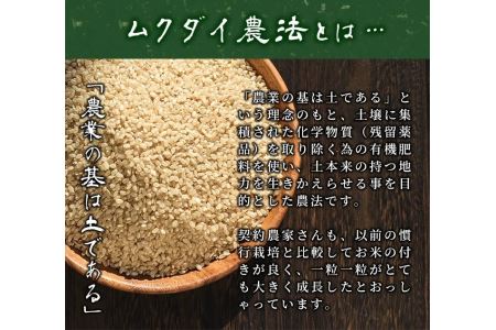 【玄米】鹿児島県産 10kg 玄米【福永商店】_y056-R7A