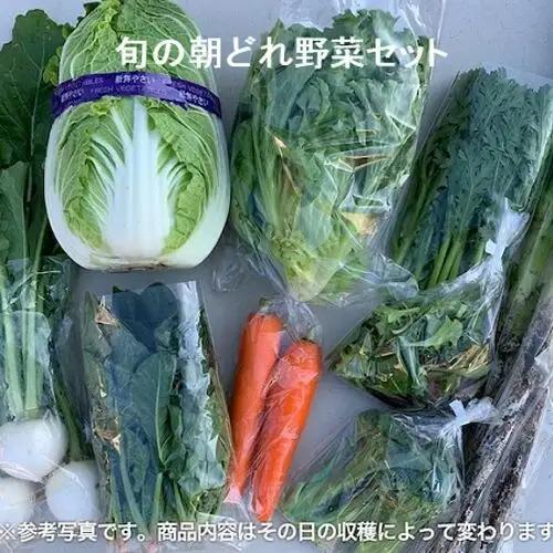 旬の朝どれ野菜おまかせセット ／ やさい 朝採れ 埼玉県