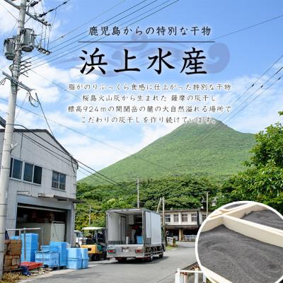 ふるさと納税 指宿市 桜島の火山灰で国産さわらを一晩熟成　『薩摩の灰干しさわら6点セット』A-337 |  | 01