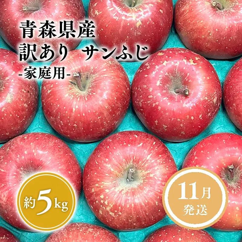 りんご サンふじ 家庭用 約5kg りんご