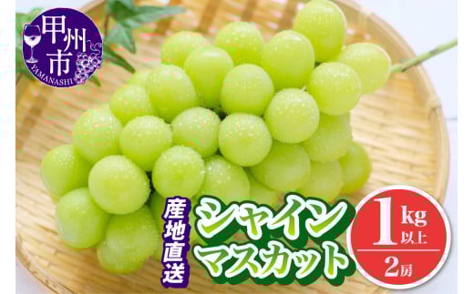 池田青果 厳選 シャインマスカット 1kg以上 2房【2025年発送】（IS）A09-466