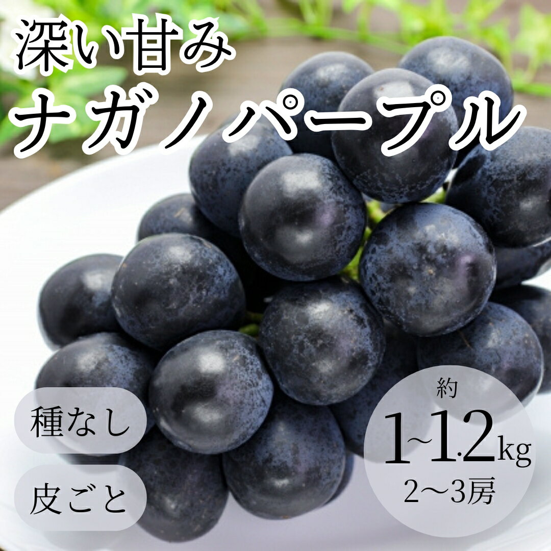 【ふるさと納税】【2026年先行予約】ぶどう ナガノパープル1kg~1.2kg(2~3房)｜ 葡萄 黒ぶどう フルーツ 果物 千曲市 長野県産 信州