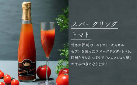 【12回定期便】北海道のあじわい便り トマトづくし 720ml×4本 300ml×3本 計7本×12回 合計84本 スパークリングトマト ジュース ミニトマトジュース 飲料 常温 北海道 浦臼町