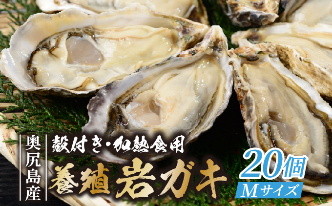 【先行予約 2026年7月20日より発送】奥尻島産養殖岩ガキ【Mサイズ】殻付き 20個入り（加熱食用）〜豊かな海が育てた海の宝石〜 | 冷蔵 | 北海道 奥尻町 送料無料
