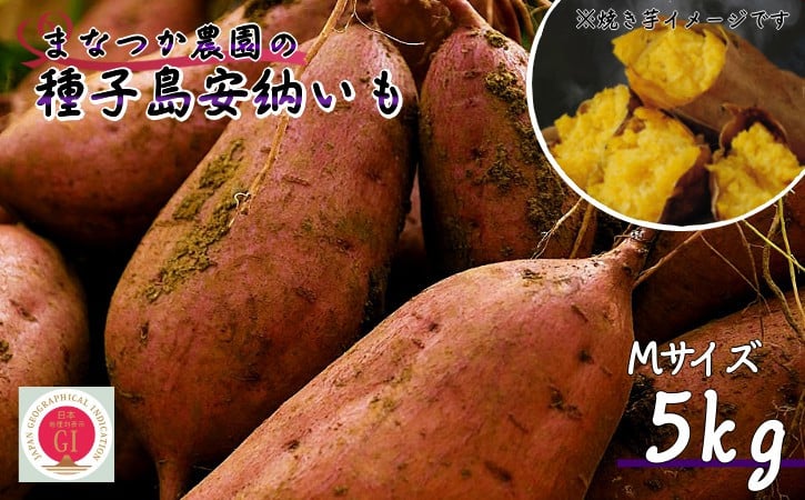 
            【  新物 ・先行予約 】 種子島 まなつか農園 安納いも ( 生いも ) M サイズ 5kg　NFN001【300pt】
          