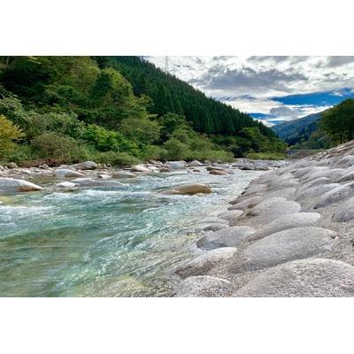 ふるさと納税 魚津市 コシヒカリ白米20kg(5kg×4袋)富山県うおづ産 |  | 01