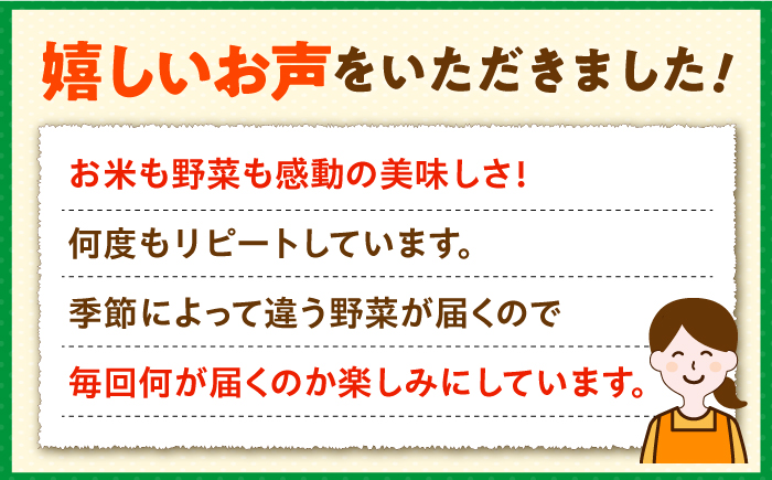 【全2回定期便】壱岐産米（つや姫）5kg・旬の野菜 5品《壱岐市》【壱岐市農業協同組合】お米 季節 セット ごはん [JBO132]