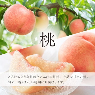 【発送月固定定期便】紀州和歌山産旬のフルーツセット(8月:桃3玉・9月:梨3玉)全2回【配送不可地域：離島・北海道・沖縄県】