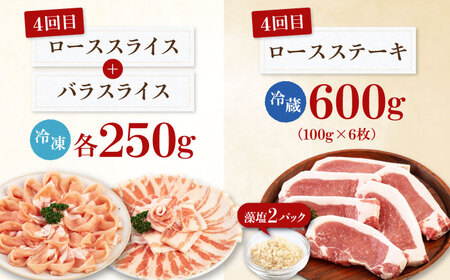 【全5回定期便】 三元豚 バラエティ定期便（2~3人前）《喜茂別町》【平田牧場】 肉 豚肉 ロース バラ肉 ステーキ セット 定期便[AJAP126]