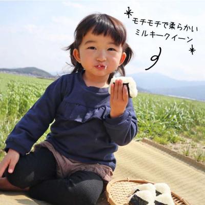 ふるさと納税 糸島市  【 栽培期間中農薬不使用 】米旋風 ミルキークイーン 5kg 糸島[ABF001] |  | 01
