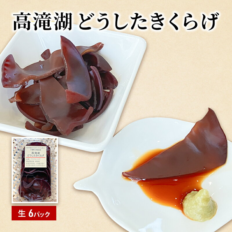 【ふるさと納税】高滝湖どうしたきくらげ　生6パック　防空壕きくらげシステム導入　 野菜 きのこ 生キクラゲ 肉厚 食材 料理 調理 炒め物 スープ 国産 国産野菜 国産きくらげ