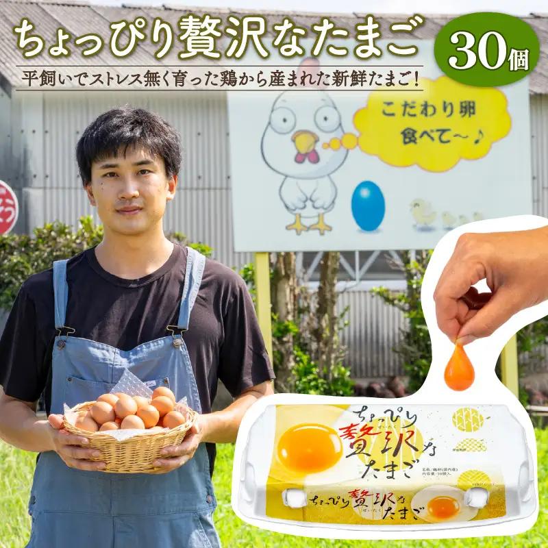 こだわり たまご 30個 (10個×3パック) 新鮮 平飼い 卵 ﾀﾏｺﾞ