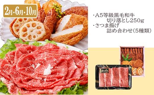 定期便(4回配送)A5・A4黒毛和牛&まぐろ・かつお・さつま揚げ EE-0046 _ 定期便 牛肉 肉 お肉 焼肉 切り落とし ロース モモ ホホ肉 霜降り さつまあげ さつま揚げ サーロイン ステー
