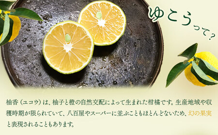 ＜ 先行予約 ＞ 幻の果実ゆこう 約2.5kg～3kg テロワール《2024年10月下旬から出荷(土日祝除く)》 徳島県 上勝町 柚香 柑橘 柚子 ユズ 無農薬 無化学肥料 果物