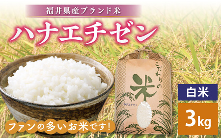 ハナエチゼン 3kg 令和6年 新米 福井県産【白米】【お米 はなえちぜん 華越前 3キロ】 [e30-a065]