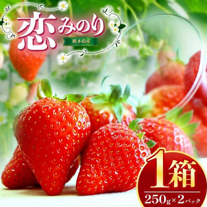 【ふるさと納税】熊本県産 イチゴ 「 恋みのり 」 1箱（250g入り×2パック） | フルーツ 果物 くだもの いちご 苺 500g 熊本県 玉名市 送料無料 産地直送