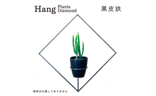 
GRAVIRoN Hang Plants シリーズ Diamond 黒皮鉄（プランツハンガー）
