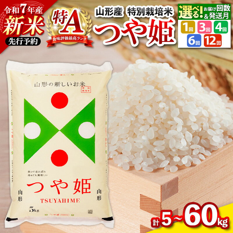 【ふるさと納税】令和7年産 新米 つや姫 特別栽培米 5kg ★高評価★4.6 定期便 お届け回数が選べる 配送回数が選べる 山形産 特別栽培米 5kg 1回 3回 4回 6回 12回 山形 お取り寄せ 送料無料 発送回数 選べる 精米 ブランド米 山形市 山形県