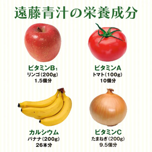 【12回定期便】 遠藤青汁 【生】 冷凍 3箱 8.4kg(100g×84袋) | 生青汁 国産青汁 ケール100％青汁 青汁セット