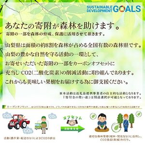 【発送月固定定期便】【2024年先行受付】山梨県産 人気果物2種 桃・種無し巨峰 定期便 全2回【配送不可地域：離島】【4005777】