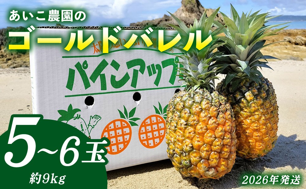 
                  あいこ農園のゴールドバレル　5～6玉（約9kg）多冠芽・無冠芽含む 2026年発送 沖縄県産 東村 パイナップル ジューシー 希少 高級フルーツ 南国フルーツ 国産フルーツ 農家直送 パイン 果物 贈り物 おすすめ お土産 人気 やんばる 大自然 南国気分 沖縄本島北部
                