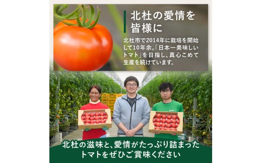 明野とまとと有機野菜おまかせ４種セット　トマト 有機野菜  新鮮 甘味 酸味 野菜 九州屋ファーム 明野町