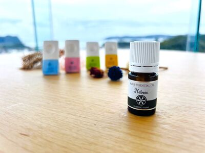 へべすのアロマオイル(5ml)と陶器製アロマスティックのセット アロマ オイル へべす 柑橘 宮崎県 門川町 【T-5】【熊野農園】