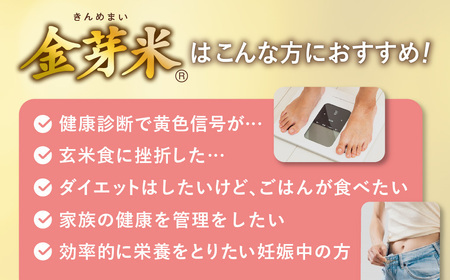 金芽米 新米定期便5kg×4回 金芽米
