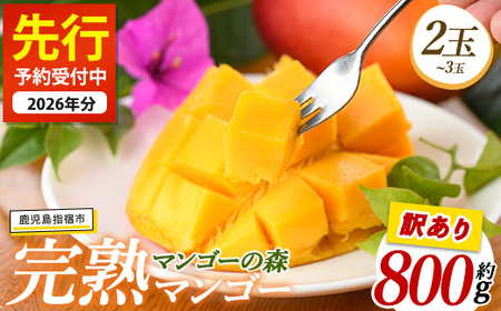 【訳あり】しあわせ完熟マンゴー 約800g(マンゴーの森/016-2055)  2玉 ～ 3玉 国産 南国 指宿産 鹿児島 アップルマンゴー マンゴー 果物 くだもの フルーツ 完熟 産地直送 お取り寄せ