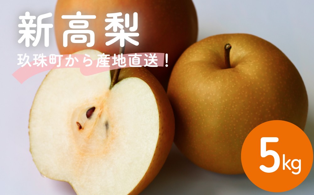 
                  【先行受付】令和8年産【新高】なかしま農園の 梨 5kg 梨 にいたか フルーツ  玖珠町  新高 甘さ 上品 旬 果物 くだもの 秋発送 中島さん プロ 手塩 日光 太陽 収穫  果樹 梨づくり 美味しい
                