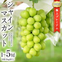 【ふるさと納税】《 選べる 房数 》《2025年9月中旬発送開始》極上 プレミアム シャインマスカット 1房 2房 3房 5房 ( 1房 1kg 以上) 数量限定 【茨城県共通返礼品／常陸太田市】 桧山果樹園 農家直送 桧山果樹園 農家直送 フルーツ 甘い 直送 茨城 限定 ギフト ぶどう 旬