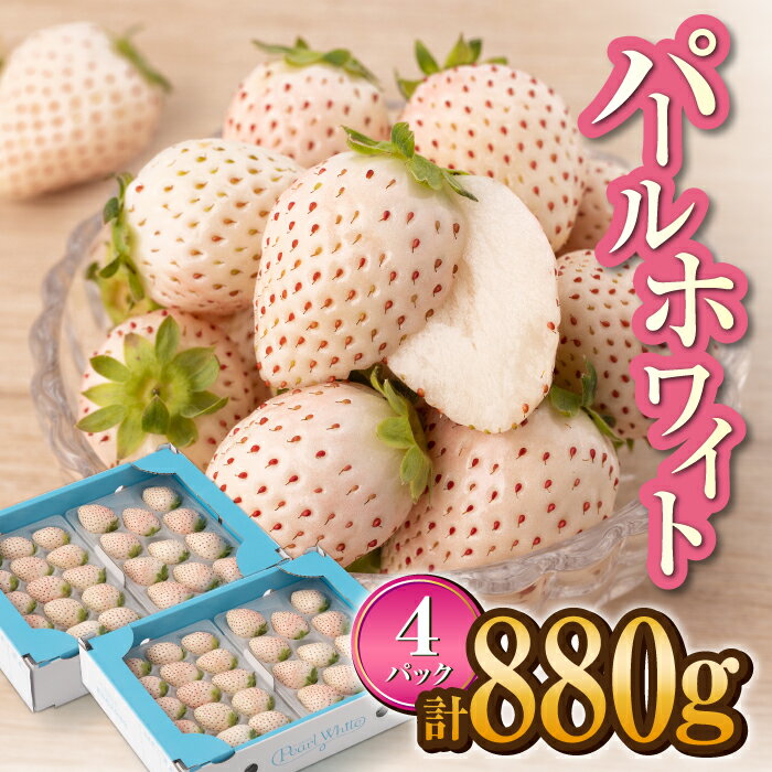 【ふるさと納税】【先行予約】希少 白いちご「パールホワイト」220g×4パック / イチゴ 白イチゴ 苺 果物 フルーツ 佐賀県 白石町 [IZZ020]