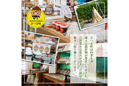 s025 さつま町特産 とみこさんの豚みそセット（6個・3種×2個）豚みそ・唐辛子入り豚みそ・かつおみそをセットに！【一社)さつま町観光特産品協会】