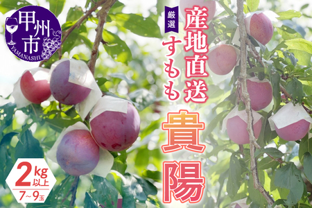 厳選！産地直送すもも「貴陽」2kg以上（7～9玉）【2025年発送】（KKH）B15-425 【貴陽 すもも スモモ 令和7年発送 期間限定 山梨県産 甲州市 フルーツ 果物】