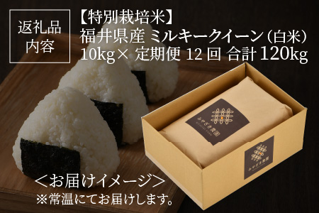 【令和5年産】【12ヶ月連続お届け】【特別栽培米】福井県産 ミルキークイーン10㎏×12回 計120kg ～化学肥料にたよらない有機肥料100%～ ネオニコフリー（白米） [O-13402_02]