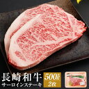 【ふるさと納税】長崎和牛 サーロインステーキ 2枚 約500g 和牛 お肉 牛肉 ステーキ サーロイン 長崎県産 九州産 国産 冷凍 送料無料